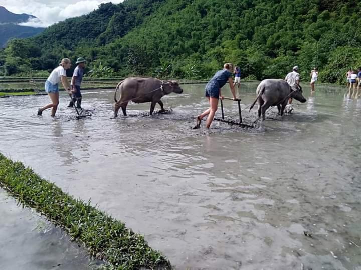 Mai Chau Xanh Bungalow Eksteriør bilde