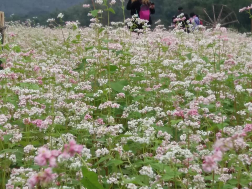 Mai Chau Xanh Bungalow Eksteriør bilde