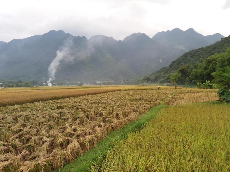 Mai Chau Xanh Bungalow Eksteriør bilde