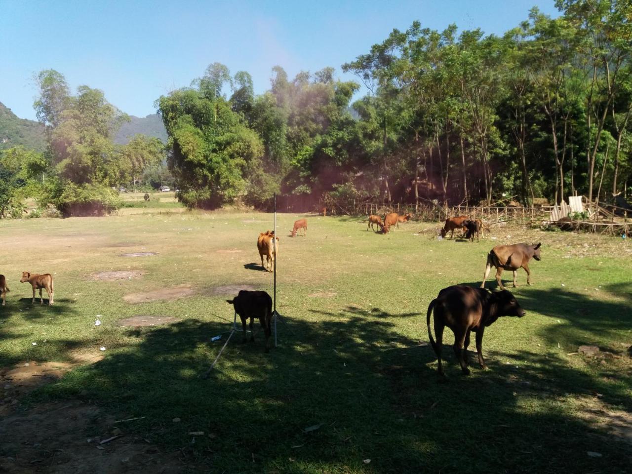 Mai Chau Xanh Bungalow Eksteriør bilde