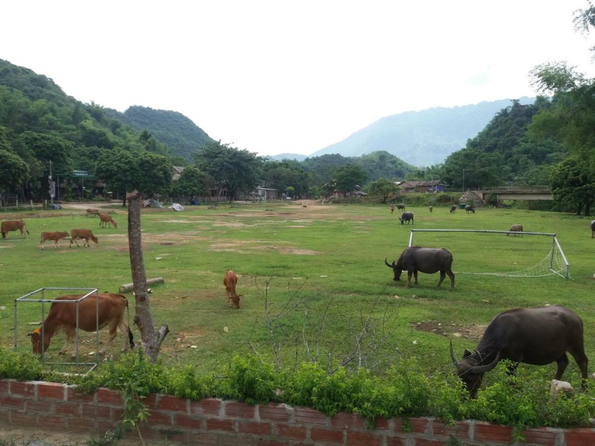 Mai Chau Xanh Bungalow Eksteriør bilde